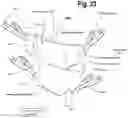 Fig. 24 - SHOE ACCOUTREMENTS AND METHODS OF MAKING AND USING THE SAME