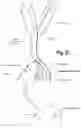Fig. 28 - SHOE ACCOUTREMENTS AND METHODS OF MAKING AND USING THE SAME