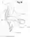 Fig. 31 - SHOE ACCOUTREMENTS AND METHODS OF MAKING AND USING THE SAME