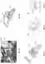 Fig. 07 - Nail polish application and solidification apparatus
