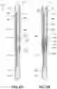 Fig. 05 - Personal care system and fluid supply system thereof