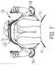 Fig. 08 - Child carrying system with adaptable head support