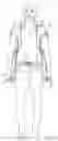 Fig. 17 - Child carrying system with adaptable head support