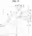 Fig. 16 - Cooking apparatus