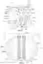 Fig. 03 - Hand cleaning device