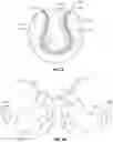 Fig. 05 - Hand cleaning device