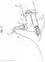 Fig. 13 - TREATMENT TOOL FOR ENDOSCOPE