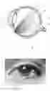 Fig. 01 - System, method and apparatus for retinal absorption phase and dark field imaging with oblique illumination