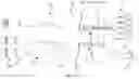 Fig. 11 - MULTIPARAMETER LEAD SET AND METHODS OF USE THEREOF
