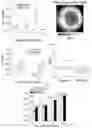 Fig. 09 - METHODS FOR ACCURATE NEEDLE-FREE ASSESSMENT OF MYOCARDIAL OXYGENATION