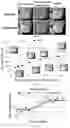 Fig. 12 - METHODS FOR ACCURATE NEEDLE-FREE ASSESSMENT OF MYOCARDIAL OXYGENATION