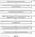 Fig. 06 - OPTOACOUSTIC FEATURE SCORE CORRELATION TO IPSILATERAL AXILLARY LYMPH NODE STATUS