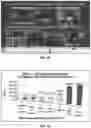 Fig. 11 - OPTOACOUSTIC FEATURE SCORE CORRELATION TO IPSILATERAL AXILLARY LYMPH NODE STATUS