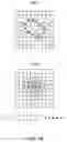 Fig. 13 - WOUND MEASUREMENT