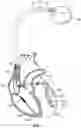 Fig. 02 - Method and system for filtering noise of an implantable medical device