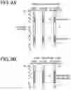 Fig. 08 - RADIATION IMAGING SYSTEM, IMAGING CONTROL APPARATUS, AND RADIATION IMAGING METHOD