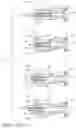 Fig. 10 - Surgical stapler knife motion controls