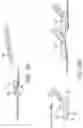 Fig. 20 - Clip for endoscope