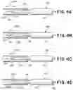 Fig. 04 - PULL WIRE DETACHMENT FOR INTRAVASCULAR DEVICES