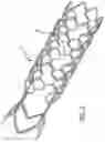 Fig. 03 - METHODS AND DEVICES FOR TREATMENT OF VASCULAR DEFECTS
