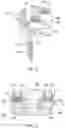 Fig. 22 - Band clamp implants