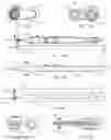 Fig. 38 - TELESCOPING SMOKE EVACUATION DEVICE FOR USE WITH HANDHELD SURGICAL INSTRUMENT