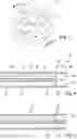 Fig. 03 - Multi-lumen Probe