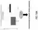 Fig. 25 - METHODS AND SYSTEMS FOR TREATING DIABETES AND RELATED DISEASES AND DISORDERS