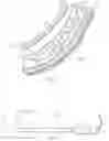 Fig. 03 - Apparatus and methods to modulate bladder function