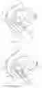 Fig. 13 - Apparatus and methods to modulate bladder function