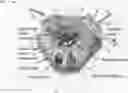 Fig. 01 - Body mountable robot