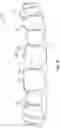 Fig. 08 - DENTAL RESTORATION MOLDS