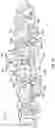 Fig. 14 - DENTAL RESTORATION MOLDS