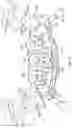 Fig. 15 - DENTAL RESTORATION MOLDS