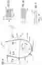 Fig. 03 - ORTHODONTIC ARCHWIRE