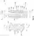Fig. 03 - Angulated dental implant