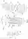 Fig. 05 - Angulated dental implant