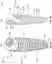 Fig. 08 - Angulated dental implant