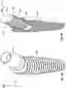 Fig. 12 - Angulated dental implant