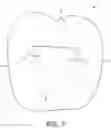 Fig. 08 - PROSTHETIC TOOTH