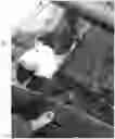 Fig. 01 - BIODEGRADABLE WRAP FOR VETERINARY USE, ESPECIALLY LEG WRAPS FOR CATTLE