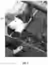 Fig. 05 - BIODEGRADABLE WRAP FOR VETERINARY USE, ESPECIALLY LEG WRAPS FOR CATTLE