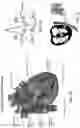 Fig. 02 - ANNULOPLASTY PROCEDURES, RELATED DEVICES AND METHODS