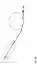 Fig. 12 - ANNULOPLASTY PROCEDURES, RELATED DEVICES AND METHODS