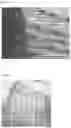 Fig. 10 - MEDICAL USE HONEYCOMB STRUCTURE