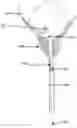 Fig. 01 - Stent removal snare and dilator