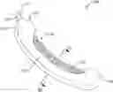 Fig. 01 - APPARATUS WITH COMPRESSIBLE CASING FOR RECEIVING DISCHARGED URINE