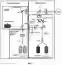 Fig. 03 - SMART AUXILIARY DIAGNOSIS SYSTEM AND METHOD FOR FUNDUS OCULI LASER SURGERY