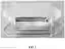 Fig. 02 - Ophthalmoscope mounted face shield