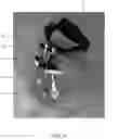 Fig. 07 - Ophthalmoscope mounted face shield